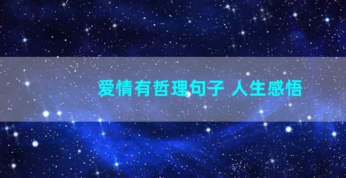 爱情有哲理句子 人生感悟